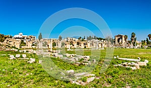 Roman Aqueduct in Tyre, Lebanon