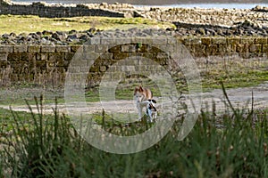 Roman archaeological complex Aquis Querquennis photo