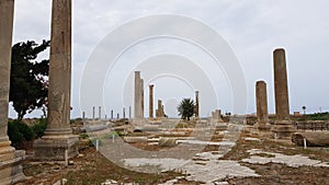 Roman archaeological remains in Tyre. Tyre is an ancient Phoenician city. Tyre, Lebanon