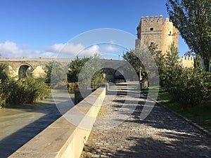 The roman bridge & tower in Cordoba photo