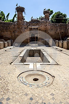 Roman building ruins at the site of Chellah in Morocco.