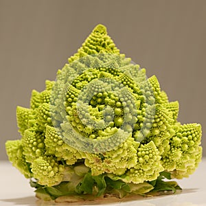 Roman cabbage photo