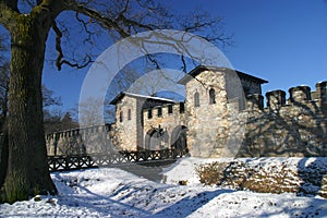 Roman Castle Saalburg