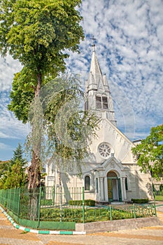 The Roman-Catholic Church