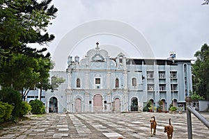 Roman Catholic Diocese of Vasai, maharashtra, india