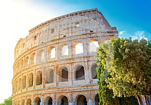 Roman coliseum in the morning sun. Italy