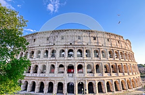 The Roman Colosseum in Rome, Italy