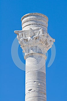 Roman column. Brindisi. Puglia. Italy.