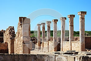 Roman Columns