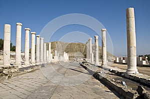 Roman columns in Israel