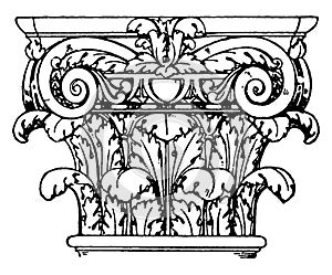 Roman Composite Capital, a fusion of the ionic, vintage engraving