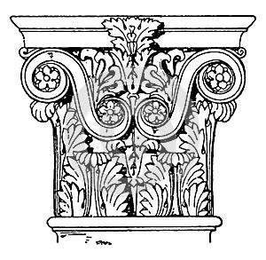 Roman-Corinthian Pilaster Capital, Rome,  vintage engraving