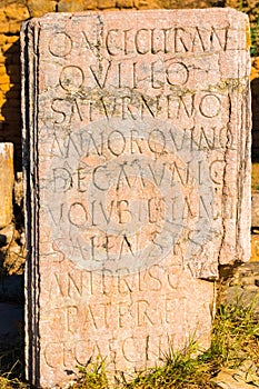 Roman desc of the ancient necropolis of Chellah in the city of Rabat, Morocco