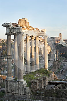 Roman Forum