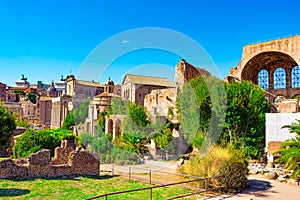 Roman Forum. Ancient, beautiful, incredible Rome