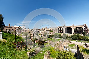 Roman Forum, with the The Basilica of Maxentius and Constantine photo