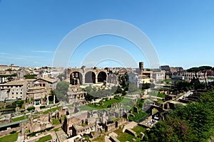 Roman Forum, with the The Basilica of Maxentius and Constantine photo