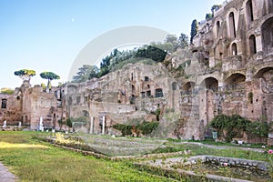 Roman Forum, Rome, Italy