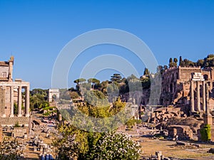 Roman Forum, Rome, Italy