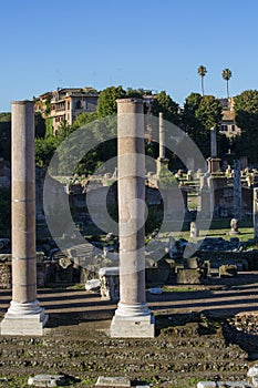 Roman Forum, ruins of ancient city, Rome, Italy. Forum of Vespasian with Remains of the Temple of Peace