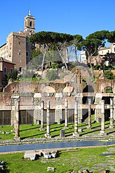 Roman Forum ruins in Rome, Italy