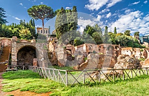 Roman Forum ruins in summer, Rome, Italy