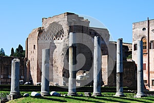 Roman Forum (Temple of Venus and Roma)