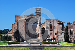 Roman Forum (Temple of Venus and Roma)