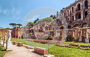 Roman Forum view in summer, Rome, Italy. Old Forum is famous tourist attraction of Rome, great ancient ruins in Rome city center