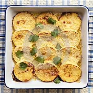 Roman Gnocchi with Semolina and Pecorino Romano Cheese photo