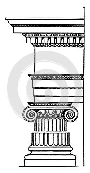 Roman Ionic Order,  column originated in the mid-6th century,  vintage engraving