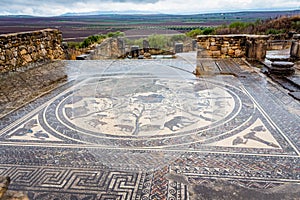 Roman mosaic in ancient Volubilis, Morocco