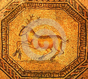 Roman mosaic of a golden stag