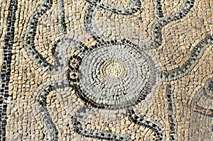 Roman mosaic of an octopus