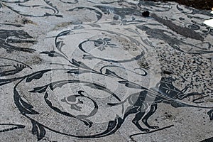 Roman mosaic with small black and white stones tiles representing a floreal decoration with animals. Detail of a mosaic in