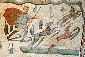 Roman mosaics