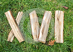 Roman numeral. Roman numerals made from oak. Old wood numbers. Old roman antique alphabet number on green grass background. Number
