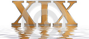 Roman numeral XIX, undeviginti, 19, nineteen, reflected on the w