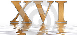 Roman numeral XVI, sedecim, 16, sixteen, reflected on the water