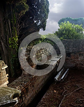 Roman public latrine photo