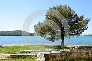 Roman remains,Medulin, Istria region, Croatia