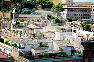 Roman roof gardens