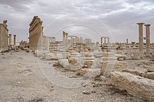 Roman ruins in the desert oasis of Palmyra, Syria.