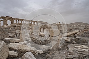 Roman ruins in the desert oasis of Palmyra, Syria.