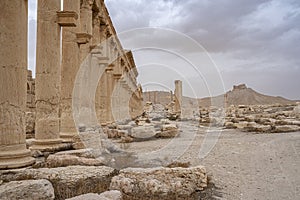 Roman ruins in the desert oasis of Palmyra, Syria.