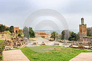 Roman Ruins next to the Ruins of a Mosque at Chellah in Rabat Morocco