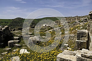 Roman ruins- Tunisia