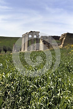 Roman ruins- Tunisia
