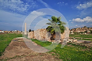 Roman ruins in Tyre, Sour, Lebanon