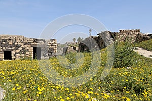 Roman ruins at Umm Qais (Umm Qays) --is a town in northern Jordan near the site of the ancient town of Gadara.